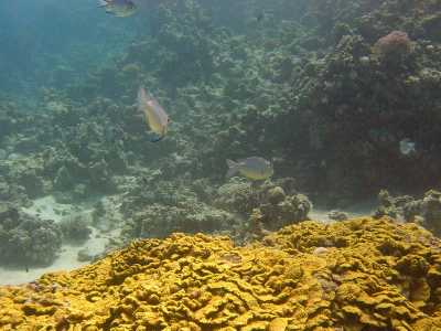 red sea_087.jpg
